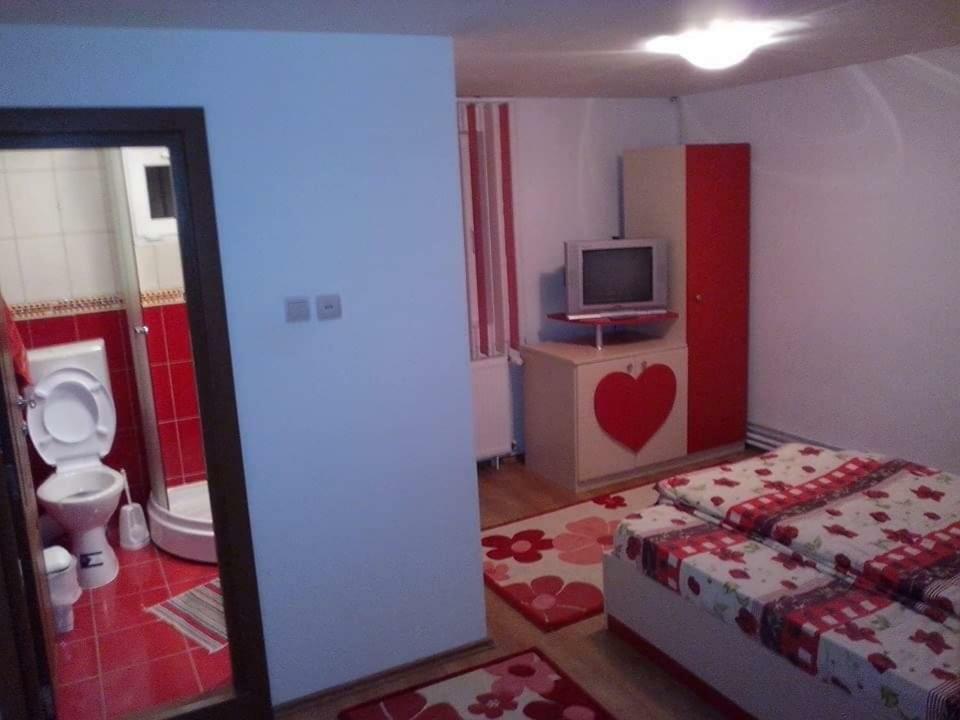 Casa Bradul Verde Bran  Luaran gambar