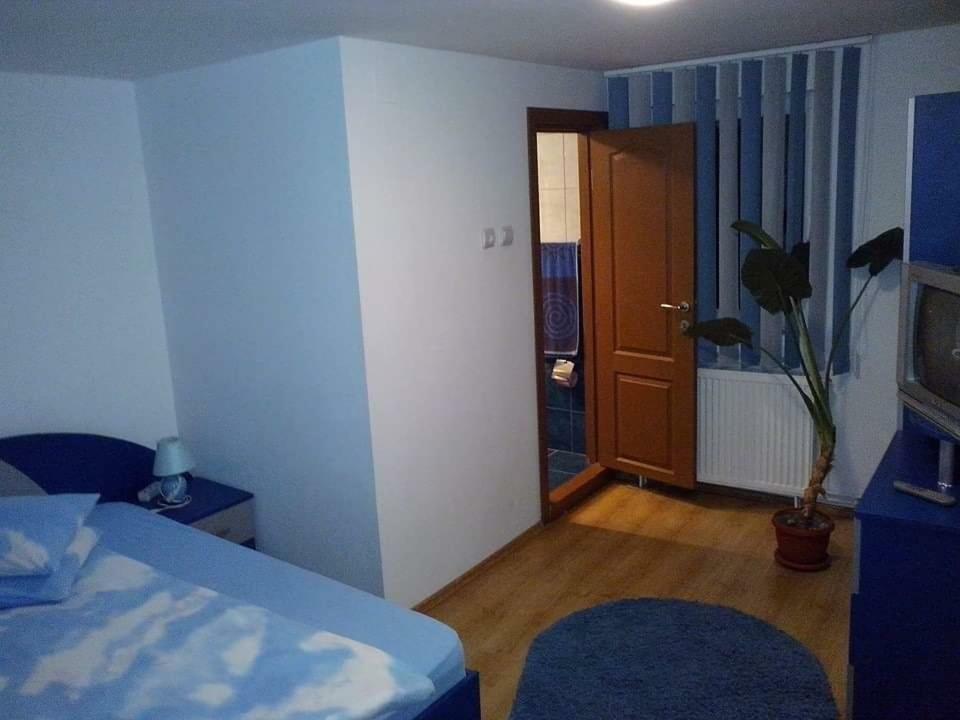 Casa Bradul Verde Bran  Luaran gambar