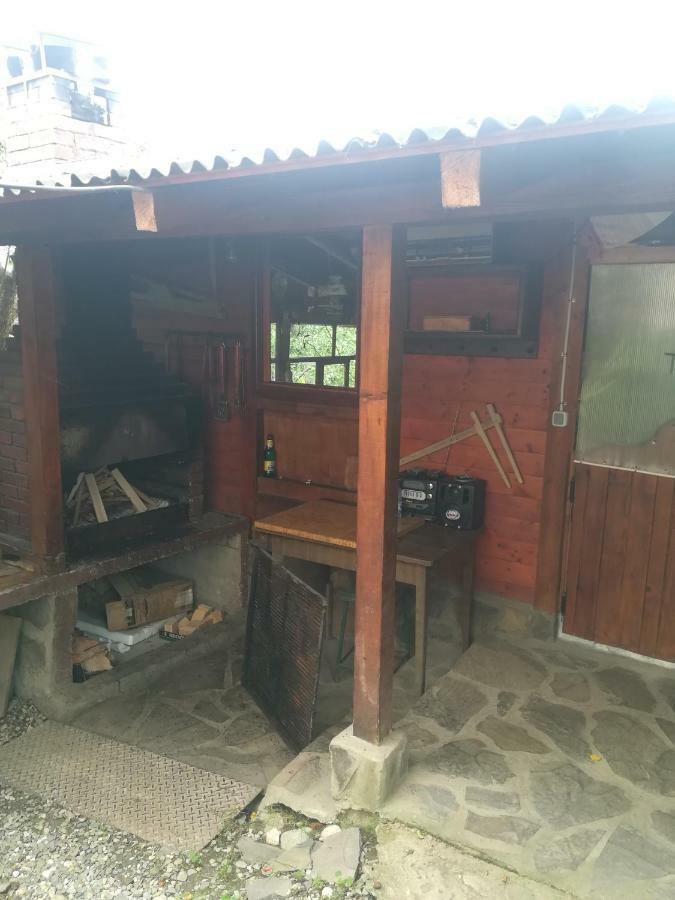 Casa Bradul Verde Bran  Luaran gambar