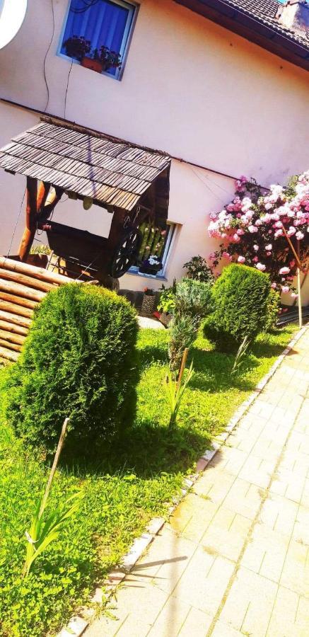 Casa Bradul Verde Bran  Luaran gambar