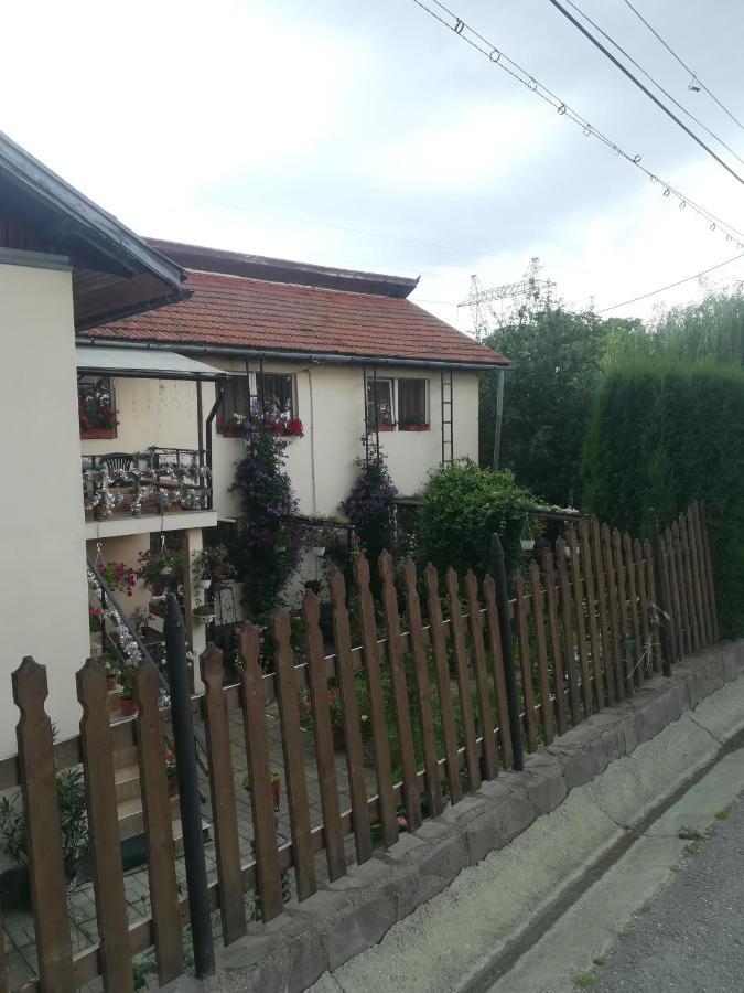Casa Bradul Verde Bran  Luaran gambar