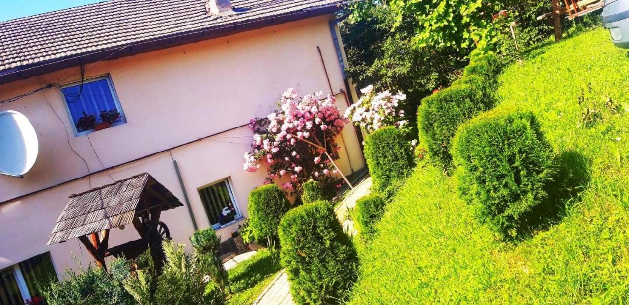 Casa Bradul Verde Bran  Luaran gambar